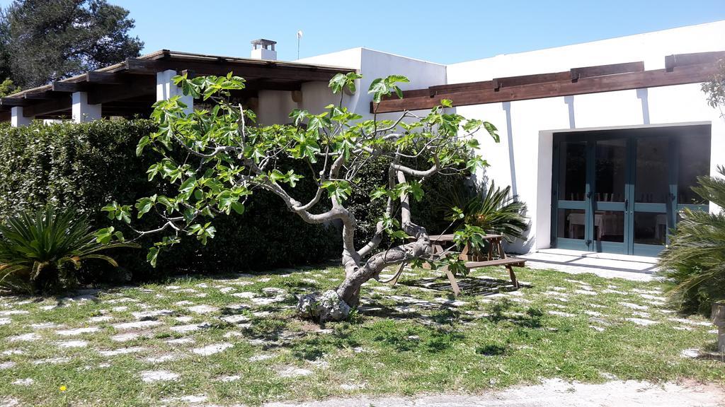 Agriturismo Vignavecchia فيغناكاستريسي المظهر الخارجي الصورة