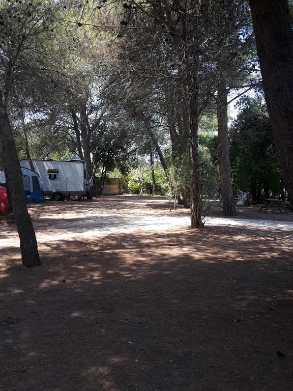 Agriturismo Vignavecchia فيغناكاستريسي المظهر الخارجي الصورة