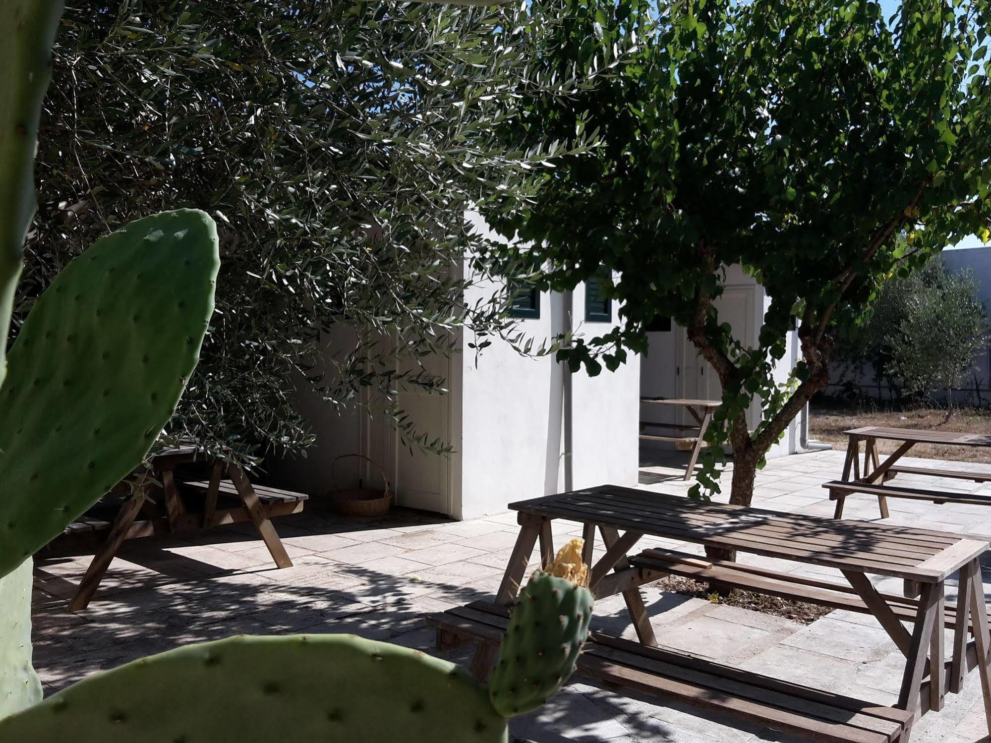 Agriturismo Vignavecchia فيغناكاستريسي المظهر الخارجي الصورة