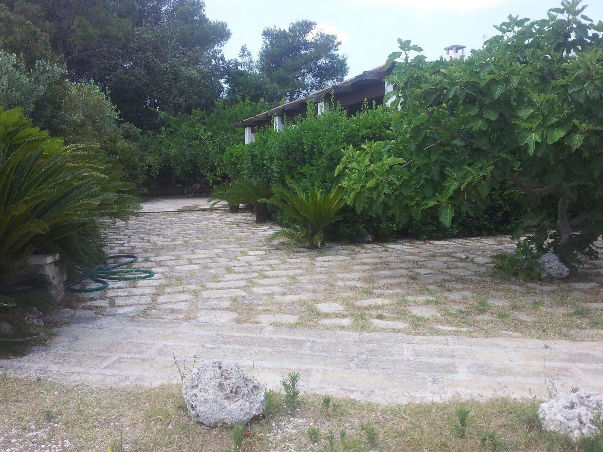 Agriturismo Vignavecchia فيغناكاستريسي المظهر الخارجي الصورة